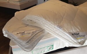 Angebot 252173