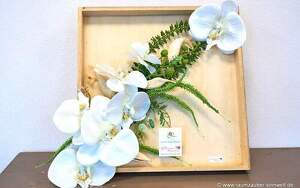 Angebot 256402