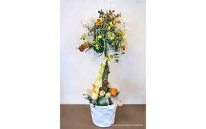 Angebot 256406