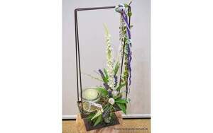Angebot 256475