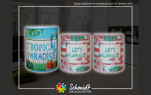 Angebot 243622