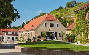 Angebot 245013