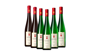 Angebot 245104