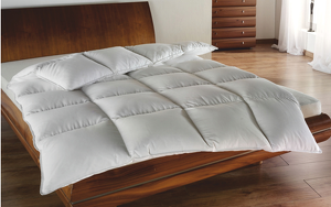 Angebot 247607