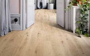 Angebot 253316