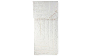 Angebot 253466