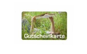 Angebot 256255