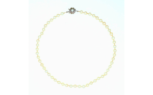 Angebot 256315