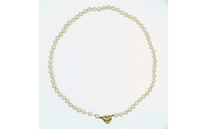 Angebot 256352
