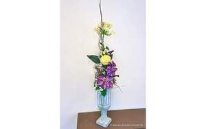 Angebot 256434
