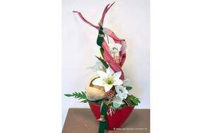 Angebot 256468