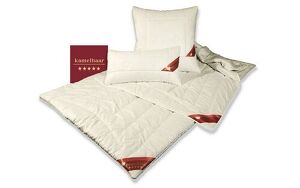 Angebot 257309