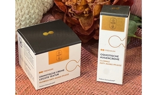 Angebot 257959